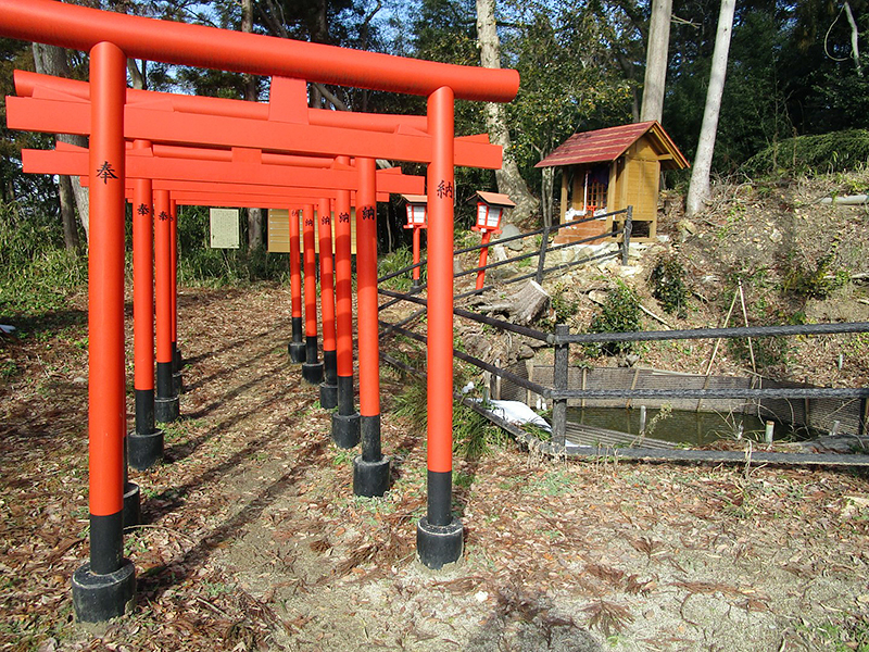 信夫山ねこ稲荷