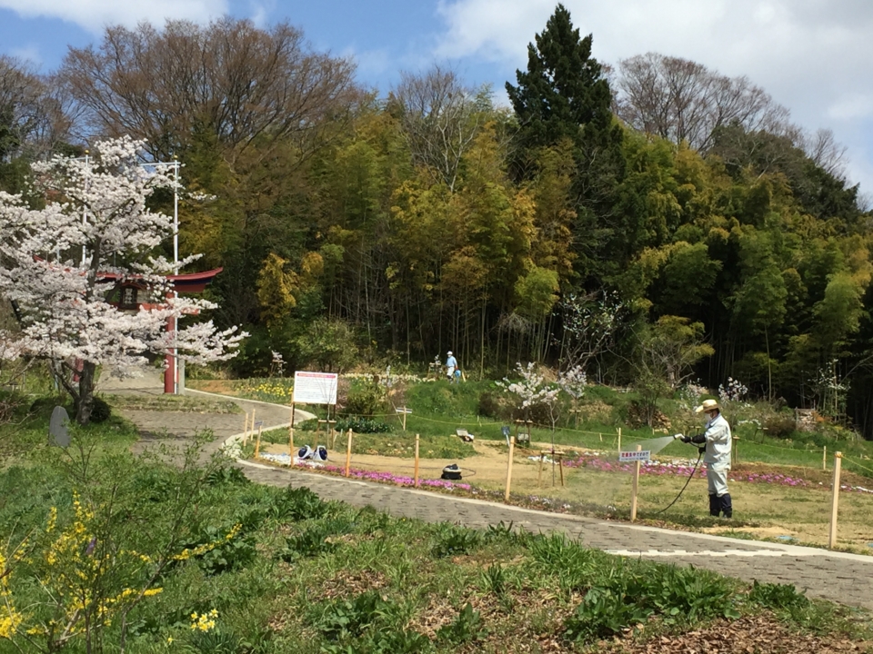 おみさか花広場　信夫山　しのぶやま　福島市