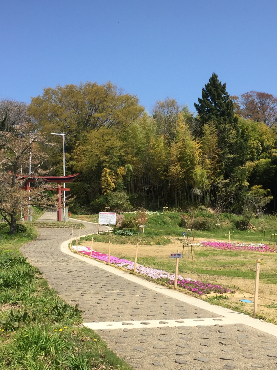 おみさか花広場　信夫山　しのぶやま　福島市