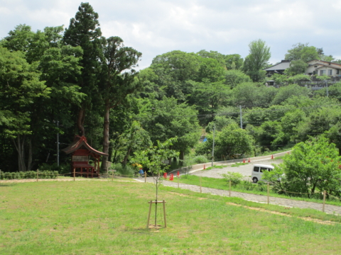 芝生エリア　おみさか花広場　信夫山　しのぶやま　福島市